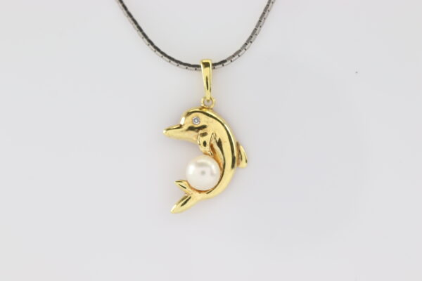 Ein Delphin mit einer Süsswasserperle