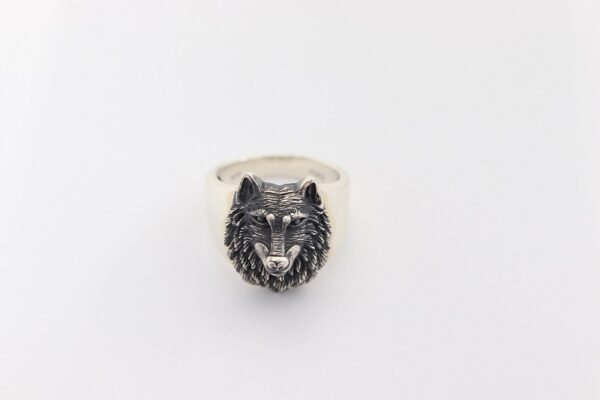 sehr schöner Ring mit einem Hundkopf in Sterlingsilber