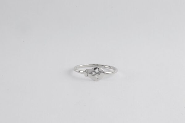 Ring mit kleinem Totenkopf in Sterlingsilber – Bild 6